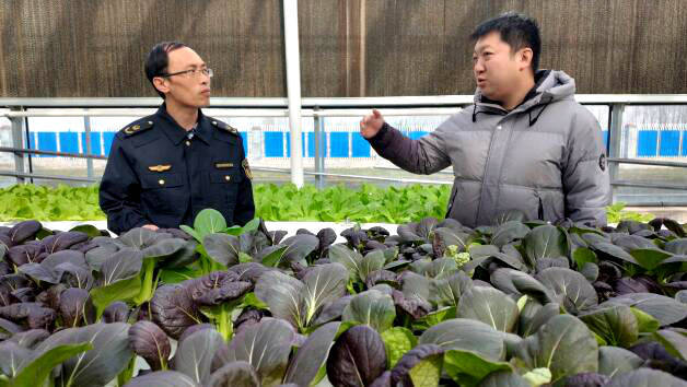 喝純凈水、住陽光房<strong></p>
<p>陽光房
</strong>震崎，證明“北方首張”的含金量——濟南蔬菜拿下“灣區(qū)認證”:陽光房
